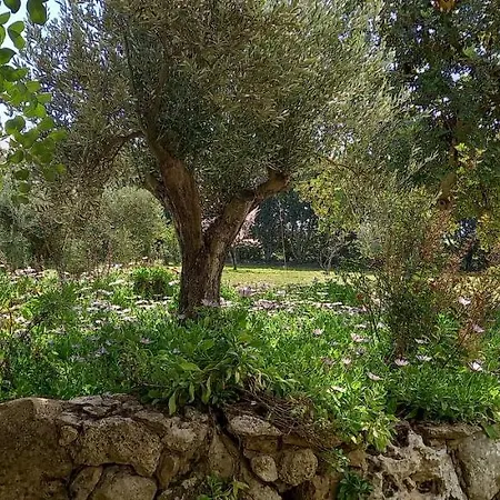 Bachile Bertula Κατάλυμα σε φάρμα