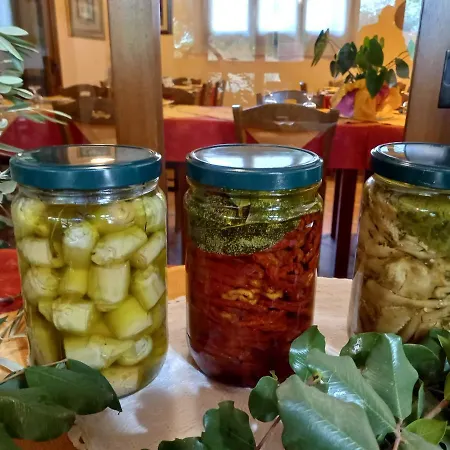 Bachile Bertula Farma Riola Sardo