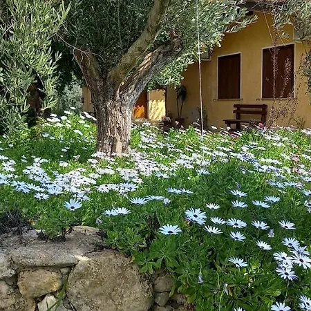 Agriturismo Bachile Bertula Farm stay