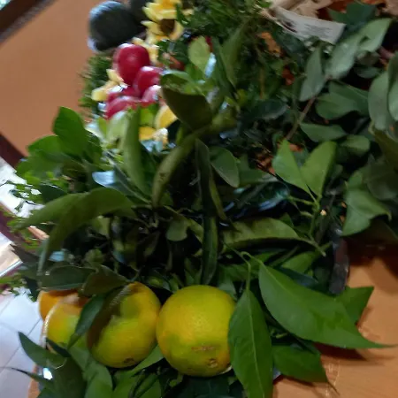 Agriturismo Bachile Bertula Riola Sardo