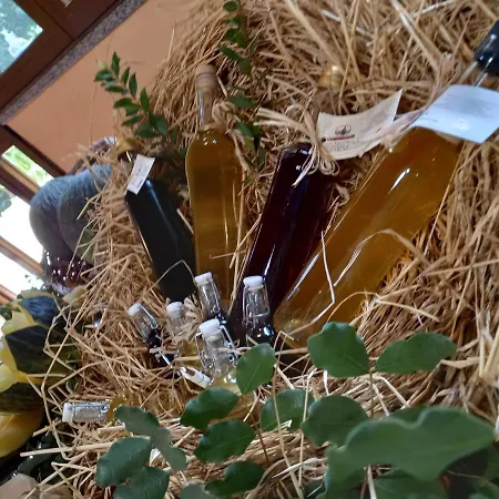 Bauernhof Agriturismo Bachile Bertula Riola Sardo