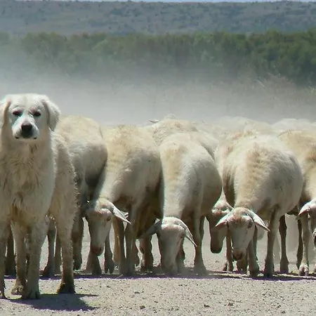 Bachile Bertula Alojamento de Turismo Rural