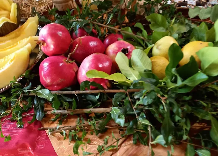 Bachile Bertula * Riola Sardo