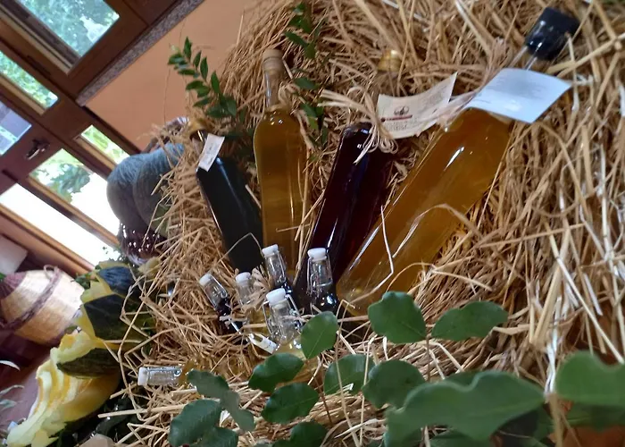 Çiftlik konaklama Bachile Bertula Riola Sardo